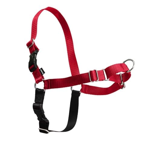 PetSafe Easy Walk dog harness
