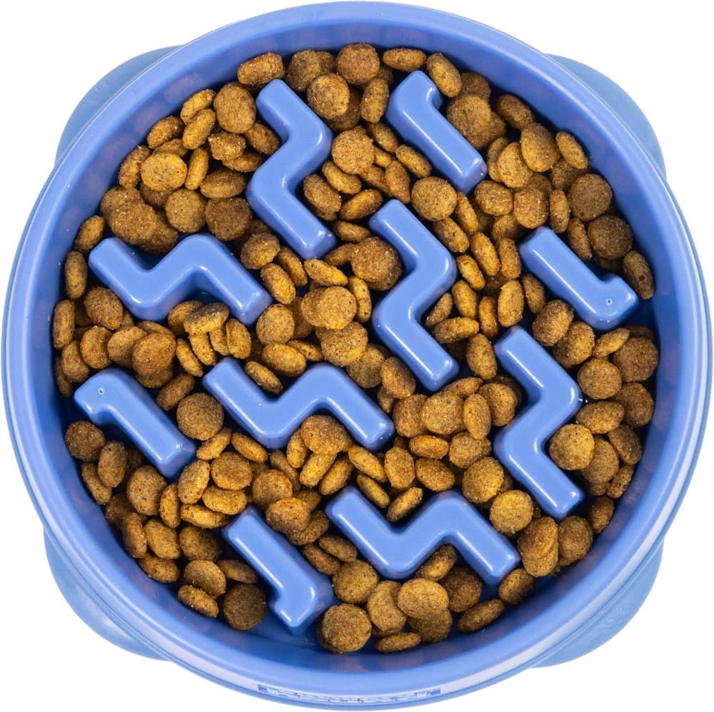 Outward Hound slow feeder bowl