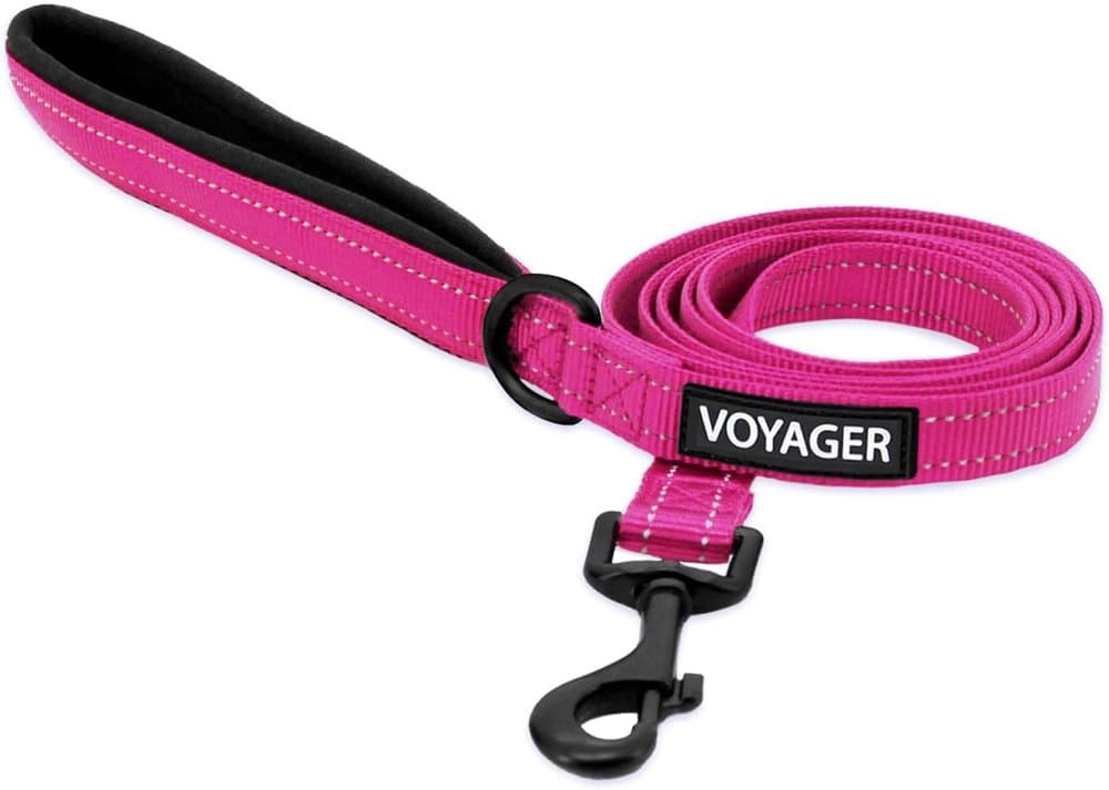 Best Pet Supplies Voyager Nylon Dog Leash - Fuchsia product photo