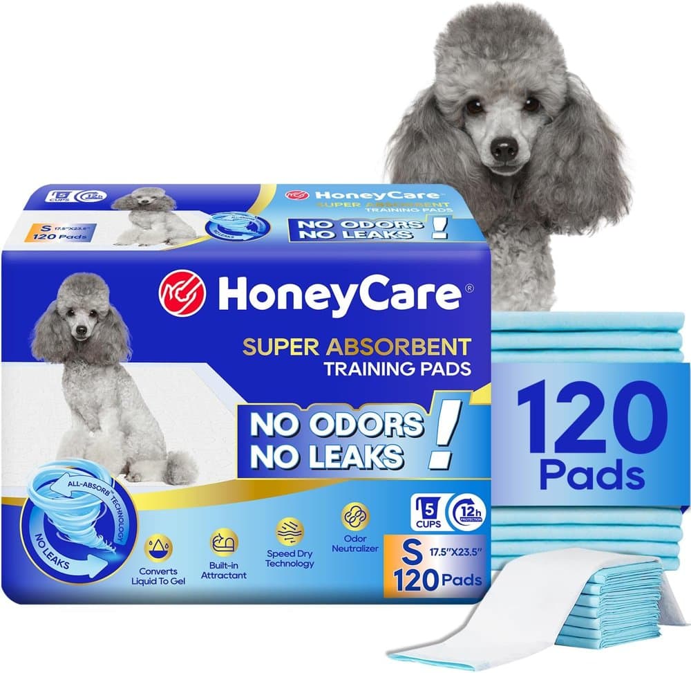 Honey Care All-Absorb product photo
