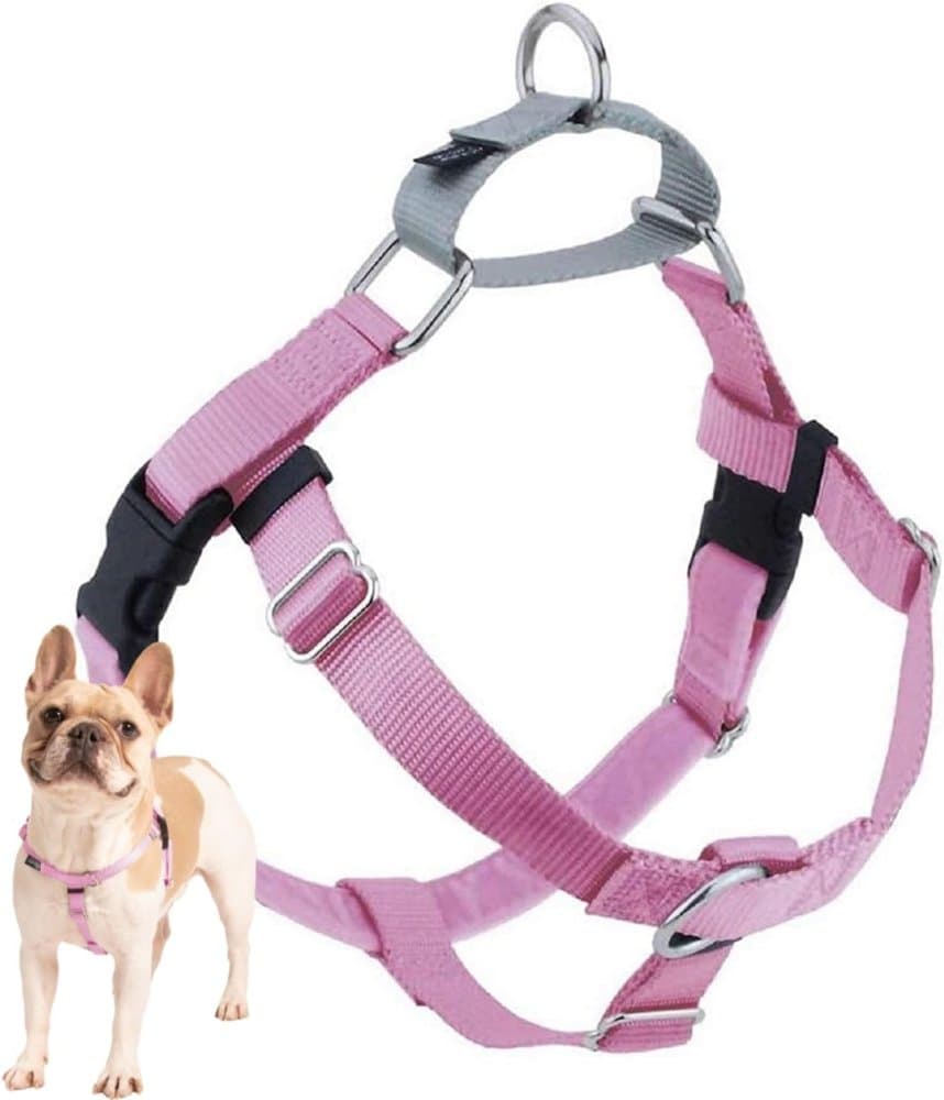 2 Hounds Design Freedom No Pull Dog Harness product photo