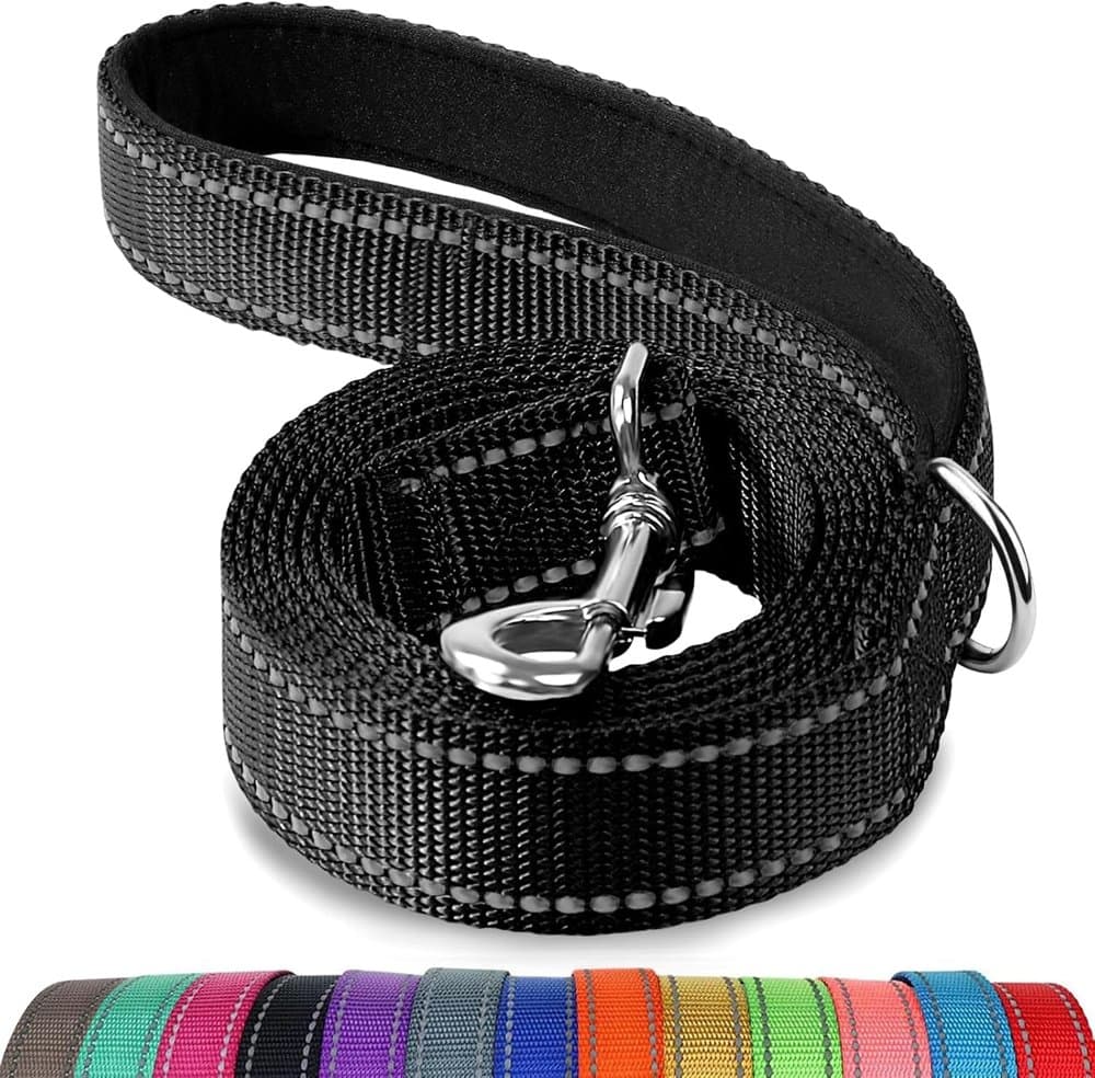 Joytale Reflective Dog Leash for Medium & Large Dogs product photo