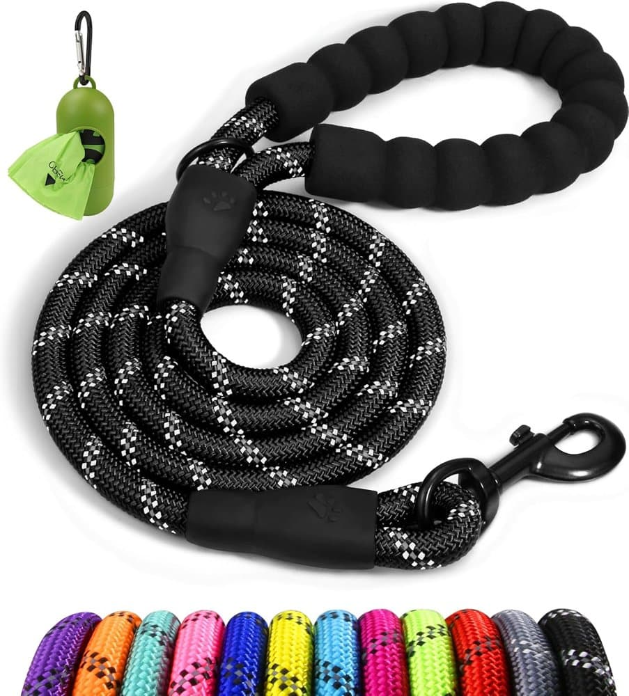Taglory Rope Dog Leash for Medium Large Dogs product photo