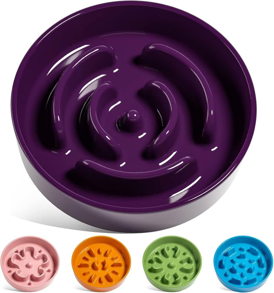 LE TAUCI Ceramic Slow Feeder Dog Bowls Small Breed product photo