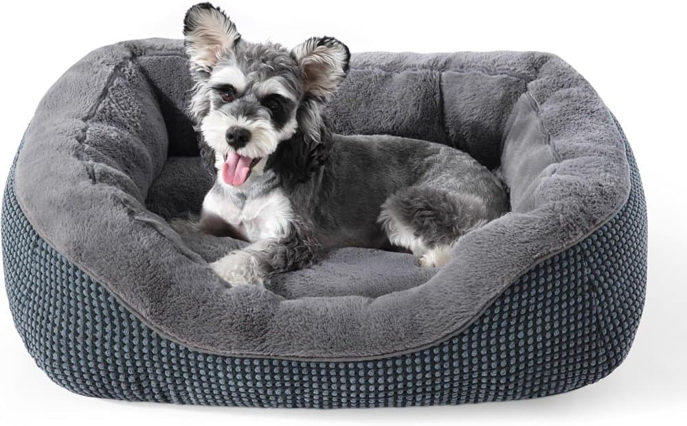 INVENHO Small Dog Bed for Small Dogs product photo