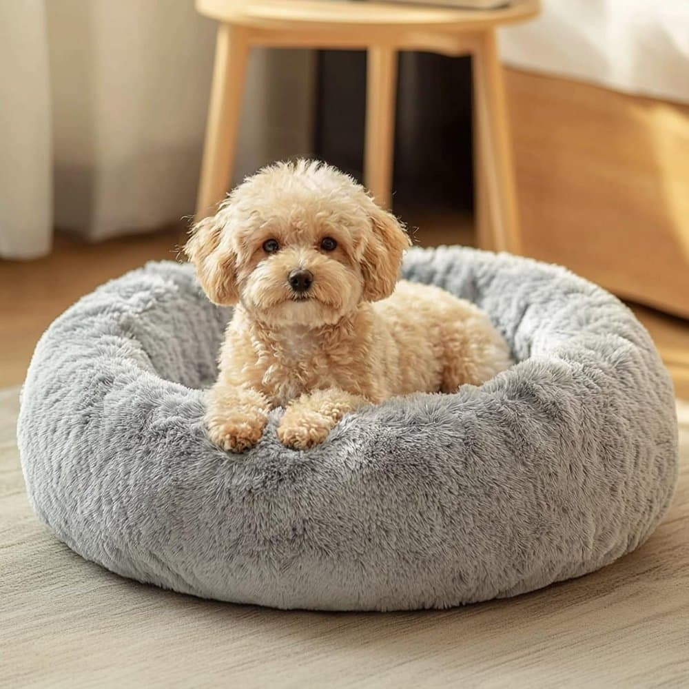 JOLLYVOGUE Small Dog Bed product photo