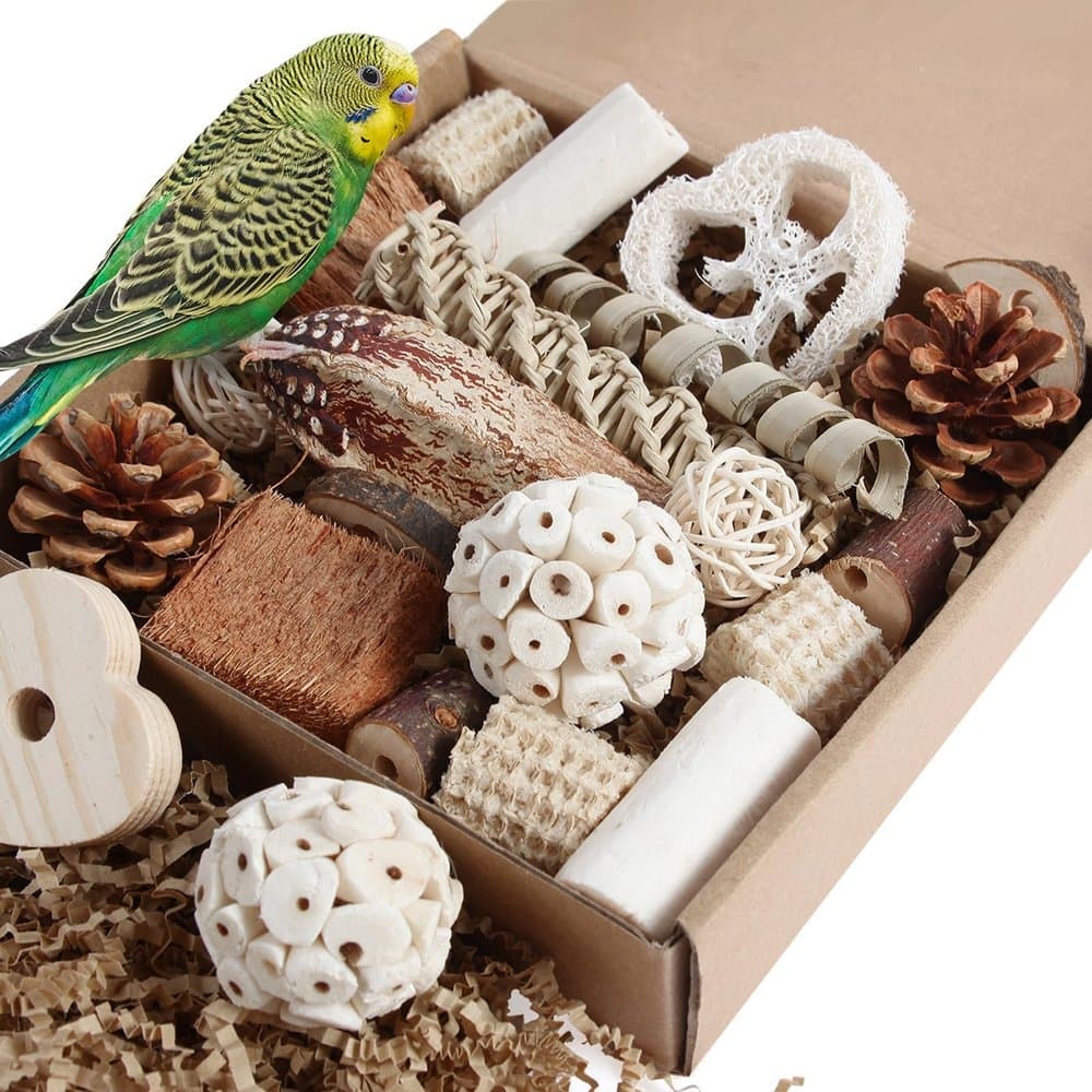 Kyouki Bird Toys Parrot Toys Natural Bird Foraging Box Foot product photo